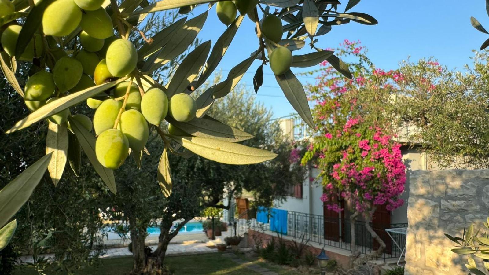 Lily'S Cottage Πλατανές Εξωτερικό φωτογραφία