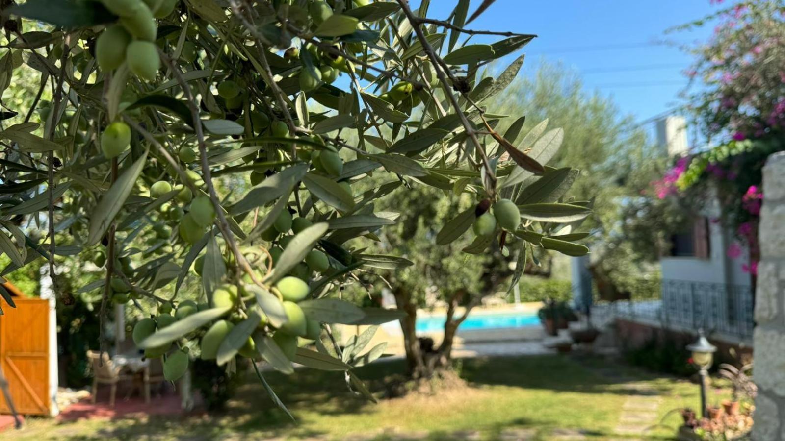 Lily'S Cottage Πλατανές Εξωτερικό φωτογραφία