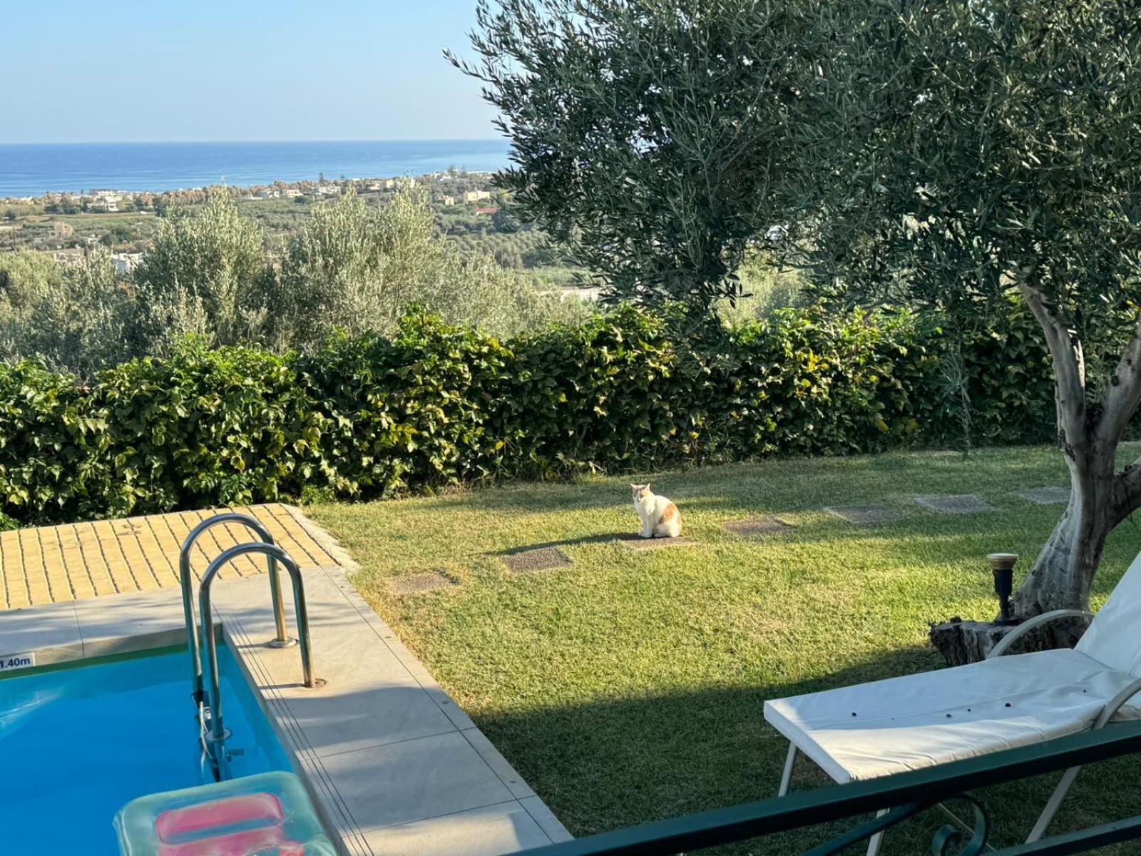 Lily'S Cottage Πλατανές Εξωτερικό φωτογραφία
