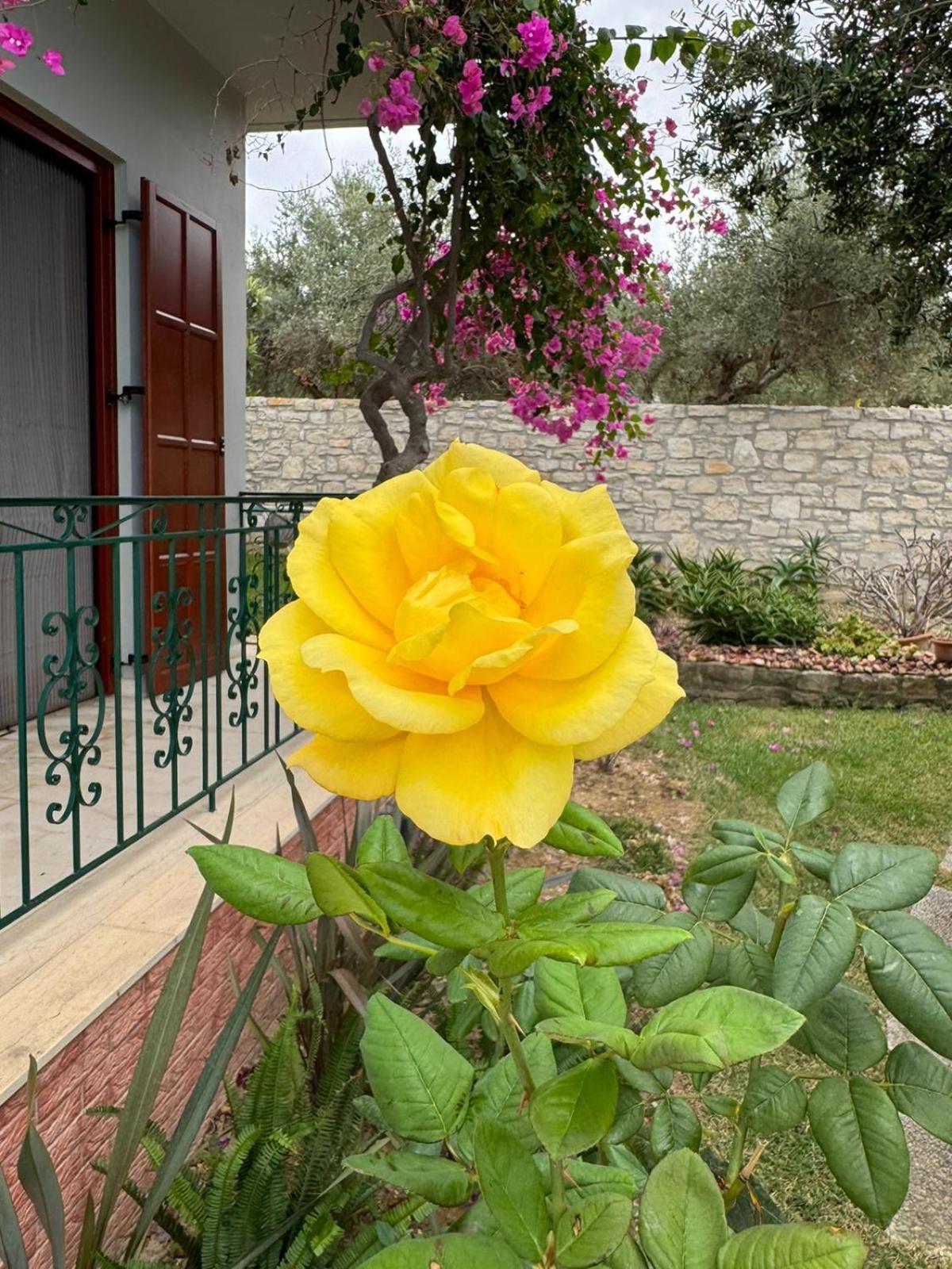 Lily'S Cottage Πλατανές Εξωτερικό φωτογραφία