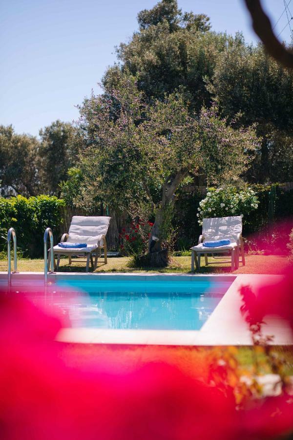 Lily'S Cottage Πλατανές Εξωτερικό φωτογραφία