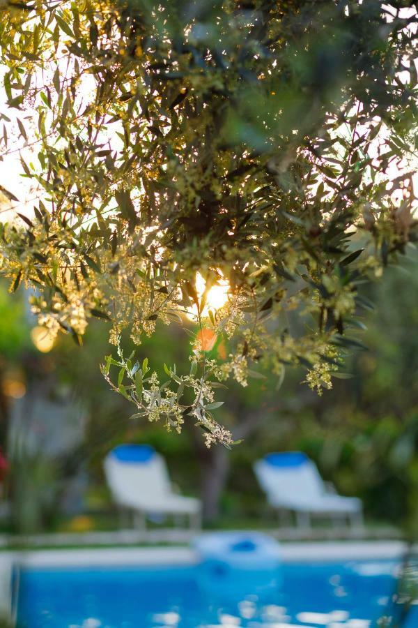 Lily'S Cottage Πλατανές Εξωτερικό φωτογραφία